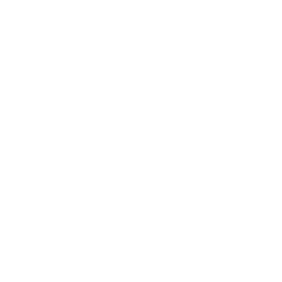 Paramount plus