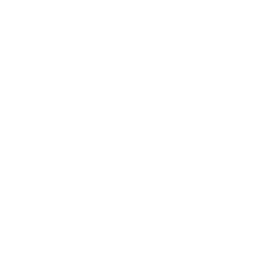 Chargeurs High emotion technology